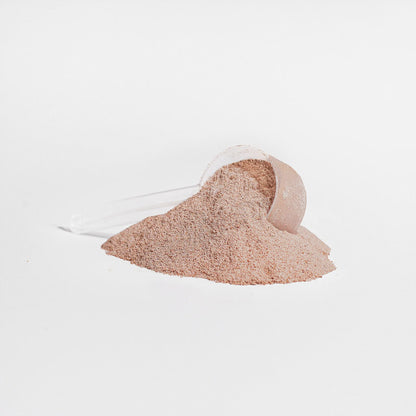 Grass-Fed Collagen Peptides Powder (Chocolate) AlphaVIT Grass-Fed Collagen Peptides Powder (Chocolate) AlphaVIT Skin, Hair & Nail Health