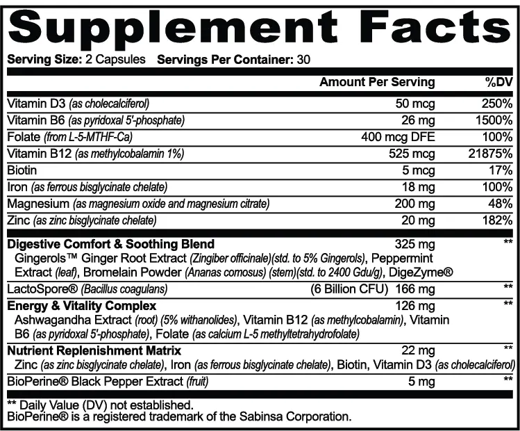 GLP-1 Support AlphaVIT GLP-1 Support AlphaVIT Digestive Support