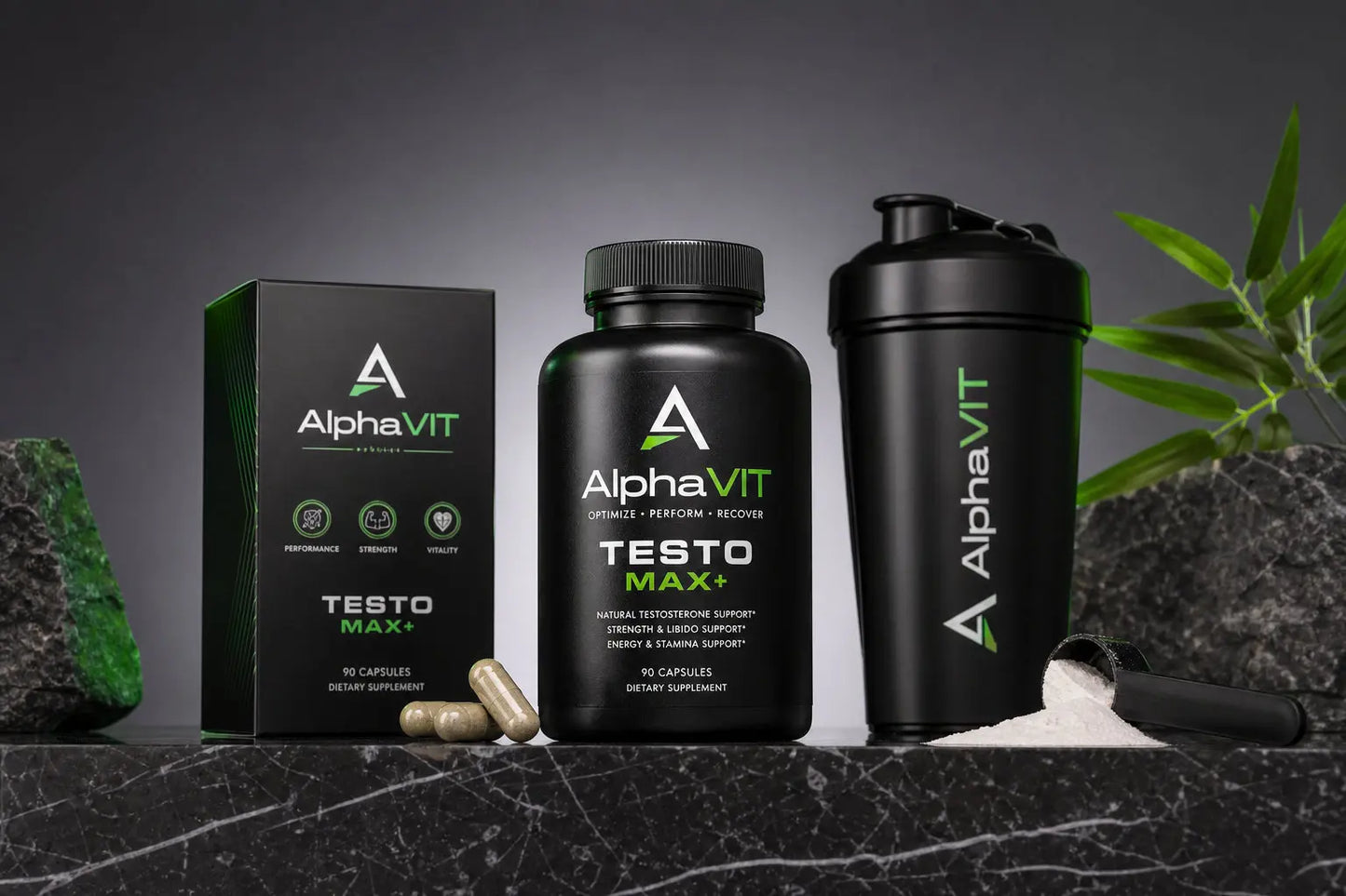 Créatine Monohydrate — Force, Volume et Récupération AlphaVIT Créatine Monohydrate — Force, Volume et Récupération AlphaVIT Muscle Builders